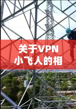 关于VPN小飞人的相关信息，目前没有明确指向某个特定品牌或软件。在中国，VPN的使用受到严格监管，未经授权的VPN服务可能涉及法律风险。以下是几点重要提示