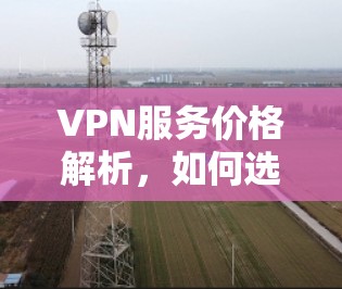 VPN服务价格解析，如何选择最适合你的月付套餐？