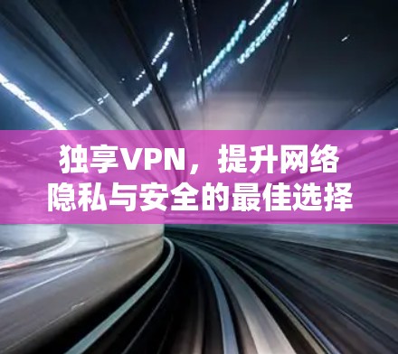 独享VPN，提升网络隐私与安全的最佳选择